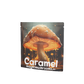 Champignon karamel / fudge