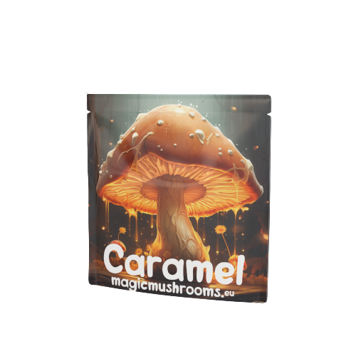 Champignon karamel / fudge