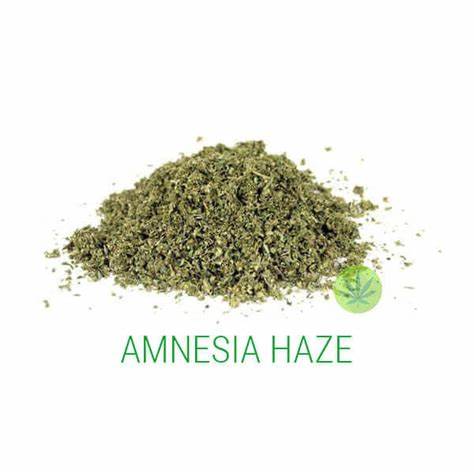Amnesia gruis  (amnesia gruis voor zelf THC olie te maken )