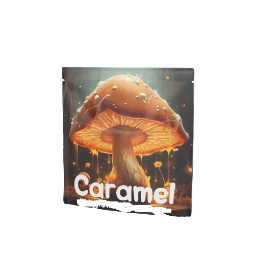 Champignon karamel / fudge