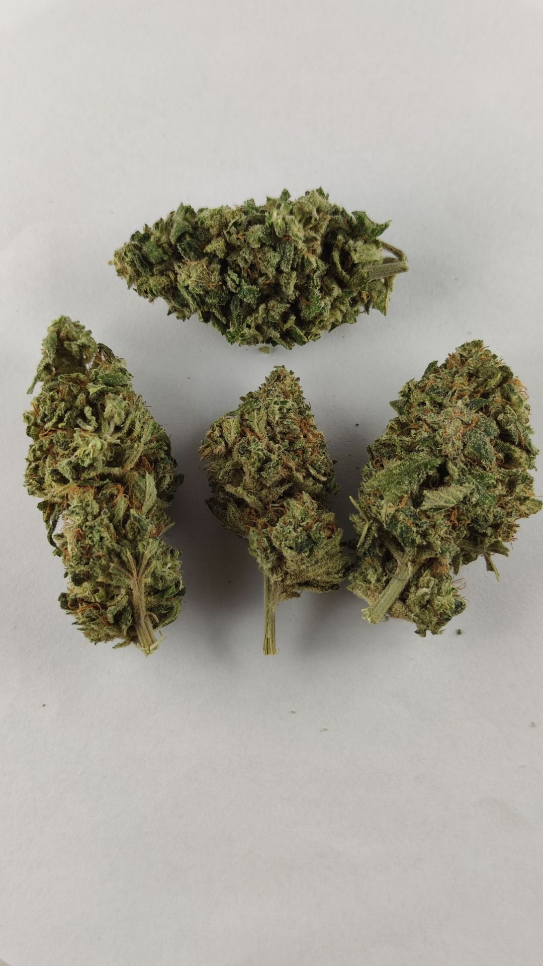 CBD bloem Amnesia Haze 10%    3 gram € 13,50